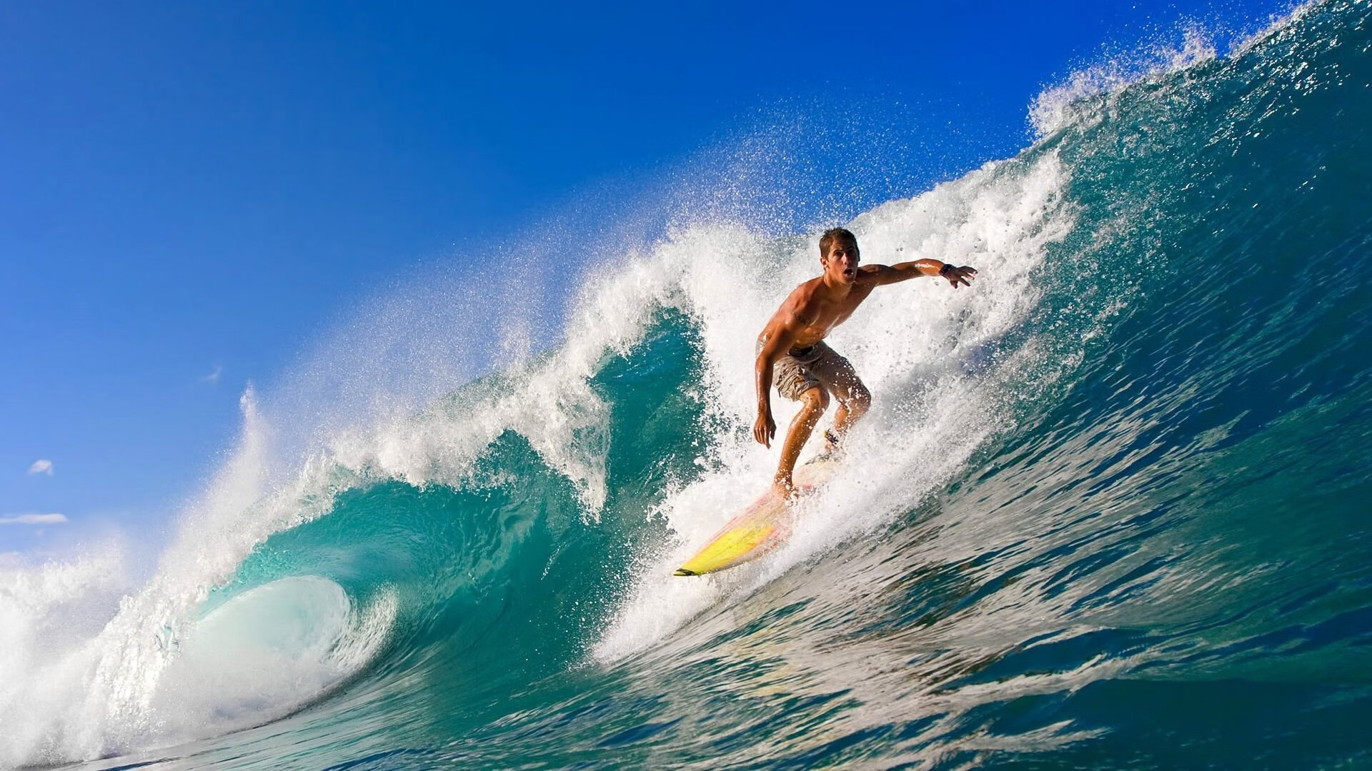 开云官网-“萨尔·巴赫的领袖魅力，南非羚羊队乘风破浪”